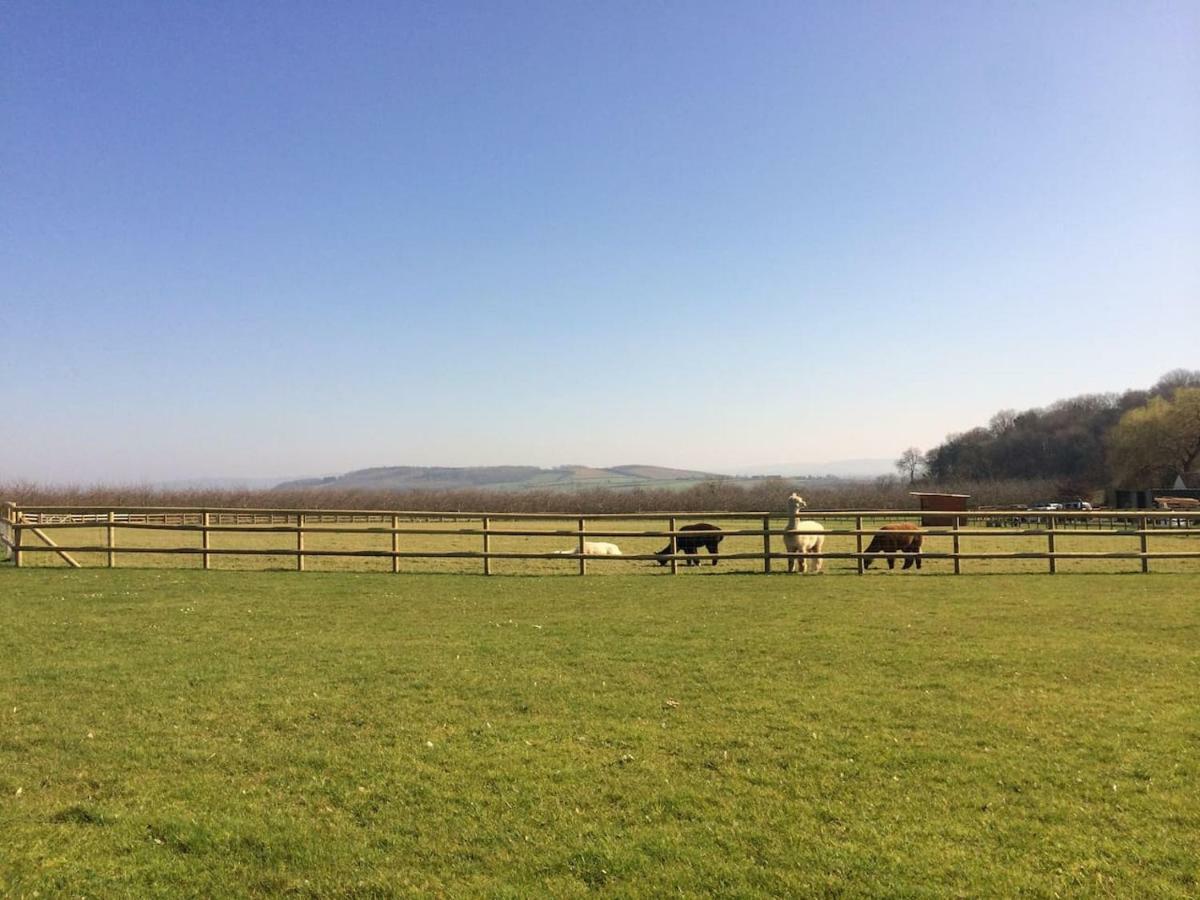 Hartpury Woodpecker Cottage At Frog Trotters Cottages מראה חיצוני תמונה